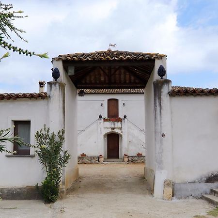 B&B Vaiana Maida Exterior foto