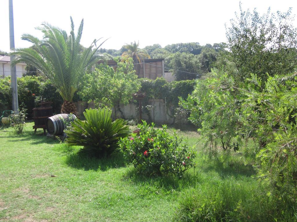 B&B Vaiana Maida Exterior foto